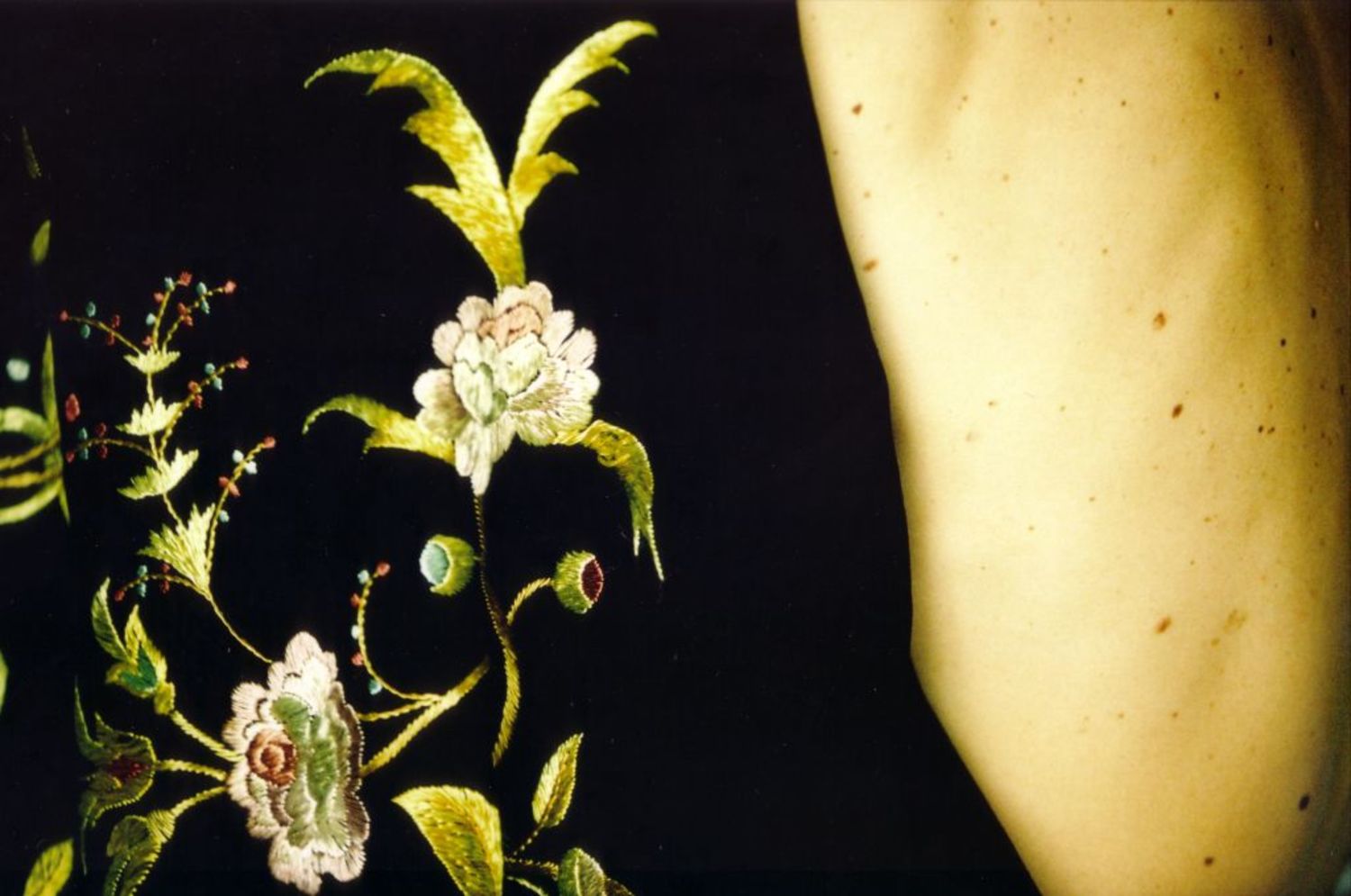 Large 119 au temps des fleurs . printemps 2001 by herve saint helier