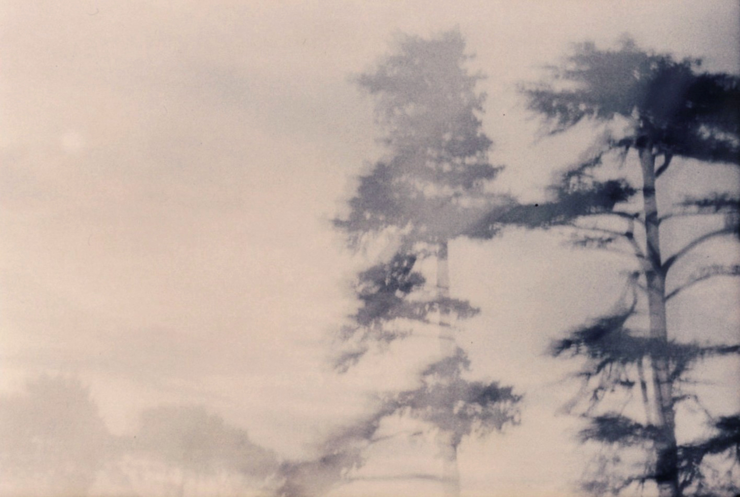 Large 255 au temps des arbres . ete 2004 by herve saint helier