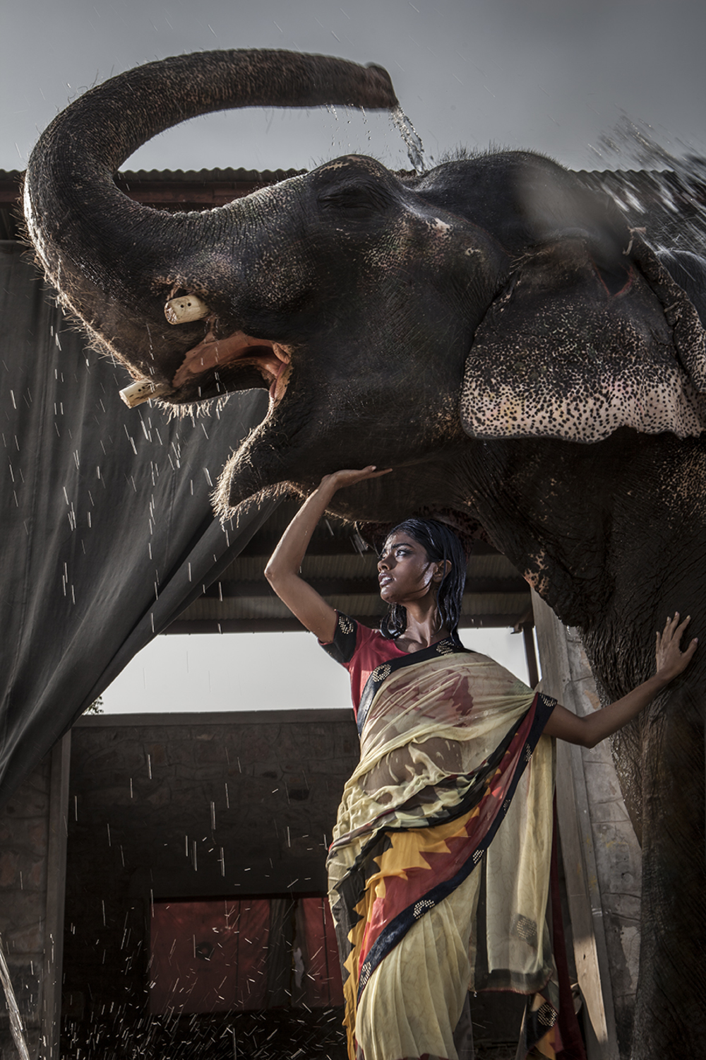 Large archana ix copy