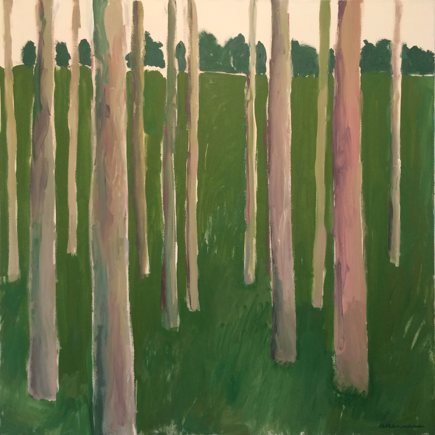 Large alberi rosa
