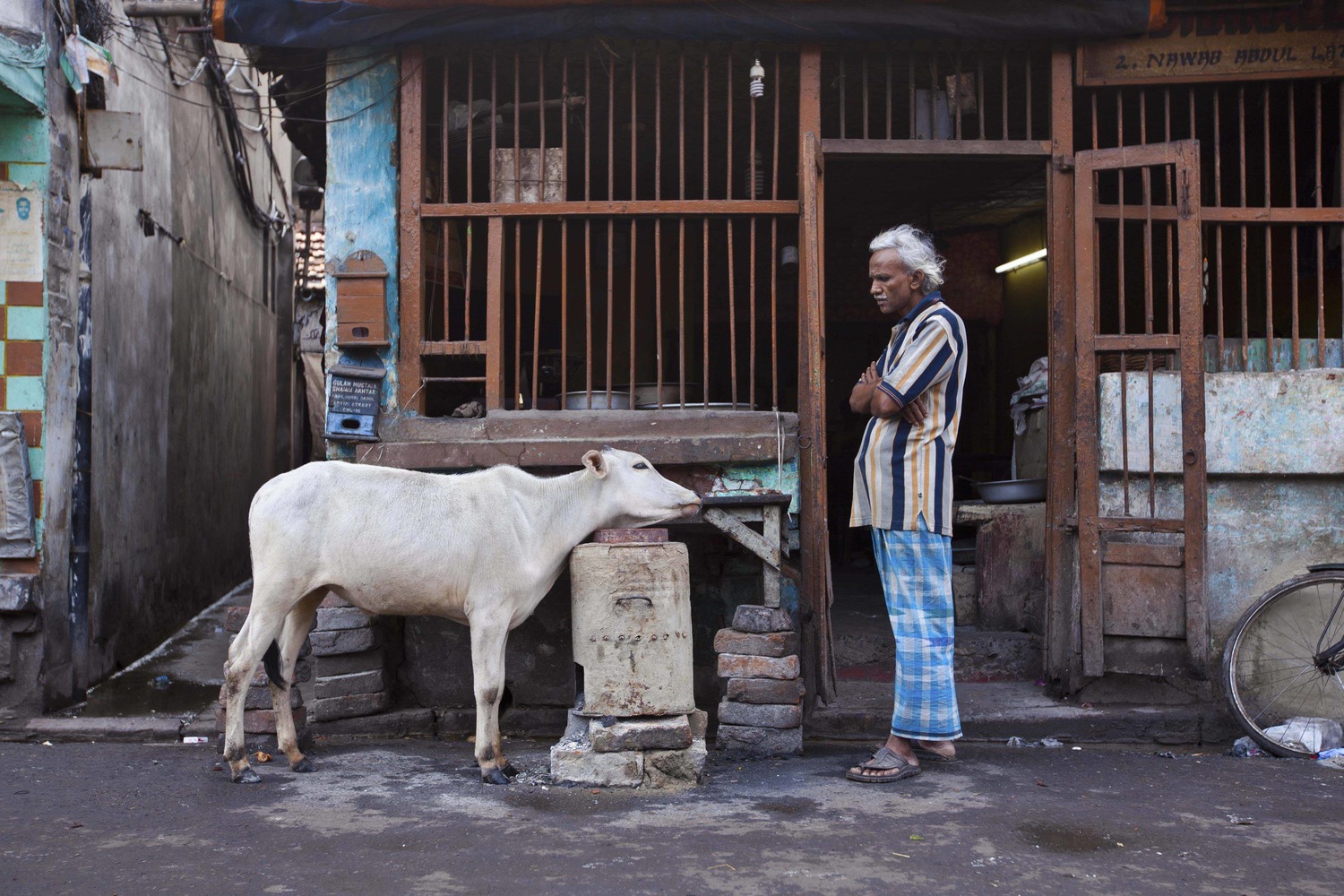 Large kolkota india 2011 2