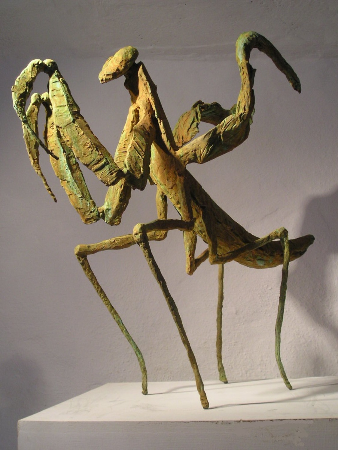 Large praying mantis