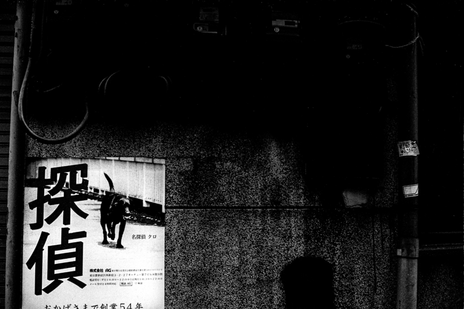 Large frederic bien detective dog tokyo jap 2015 trix400 40