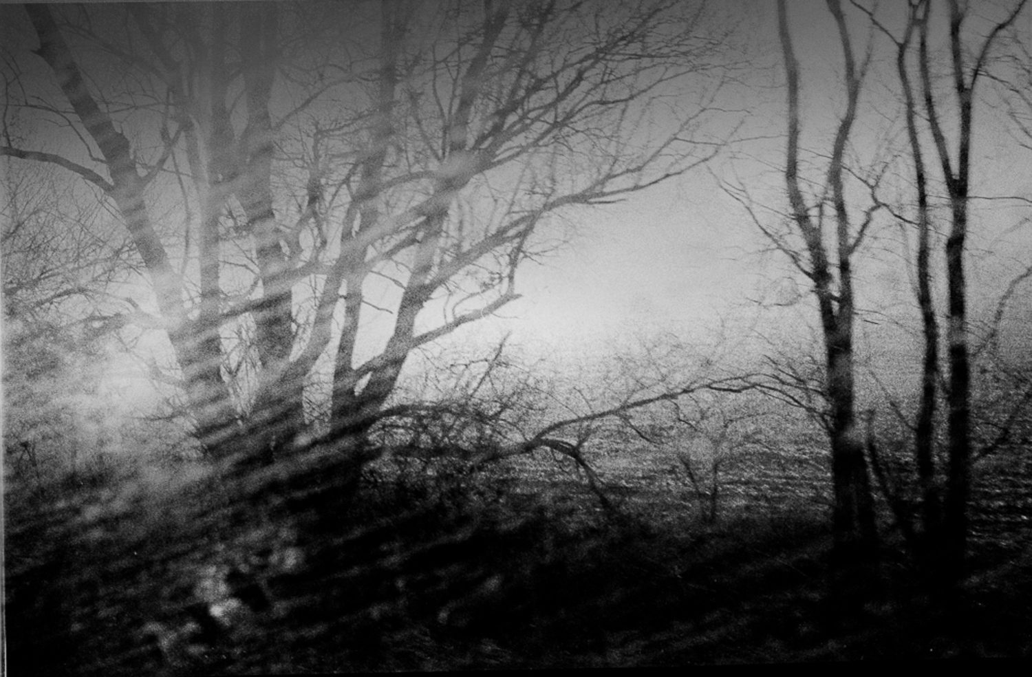 Large frederic bien morning mist poland 2012 trix400 02