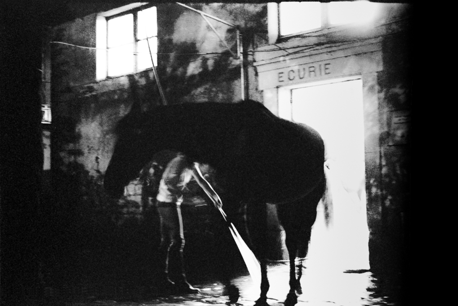 Large frederic bien tess de l orgere maison alfort fr 2015 trix400 51