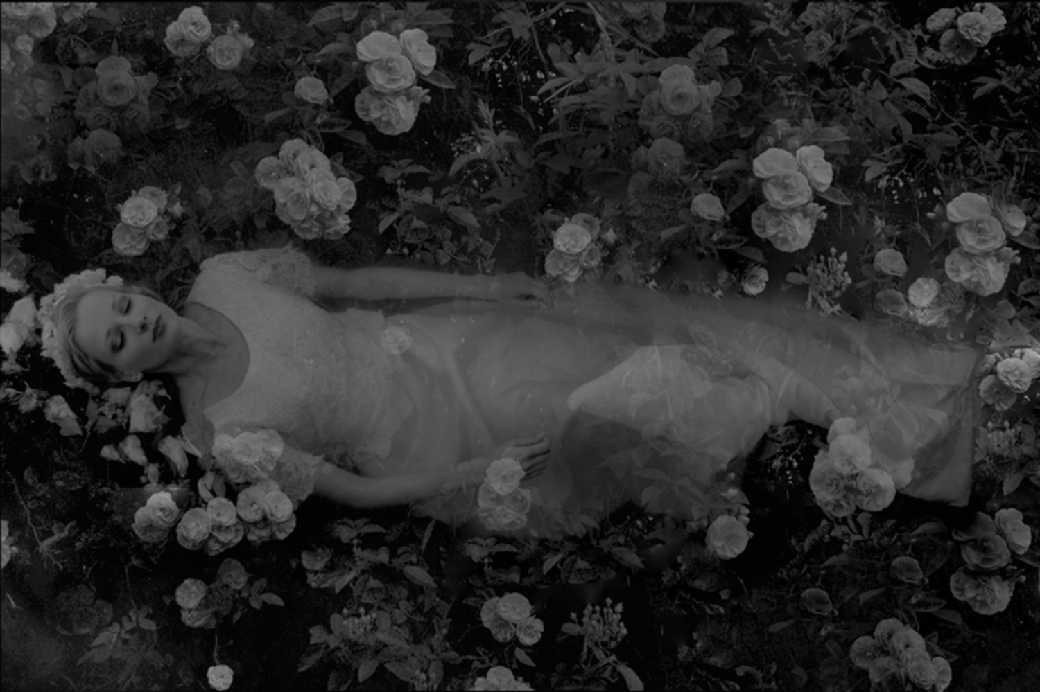 Large dreams of ophelia i