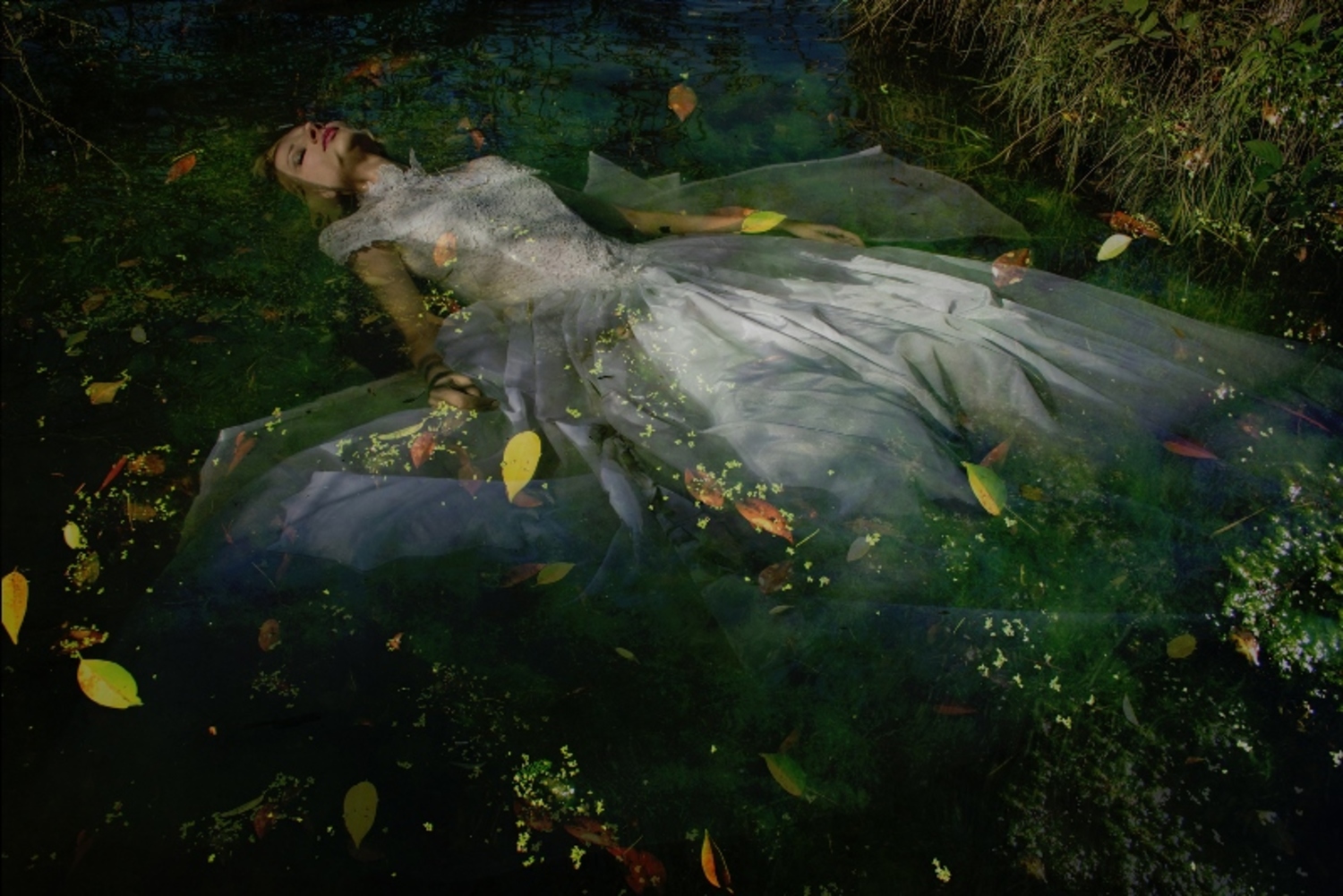 Large dreams of ophelia iii