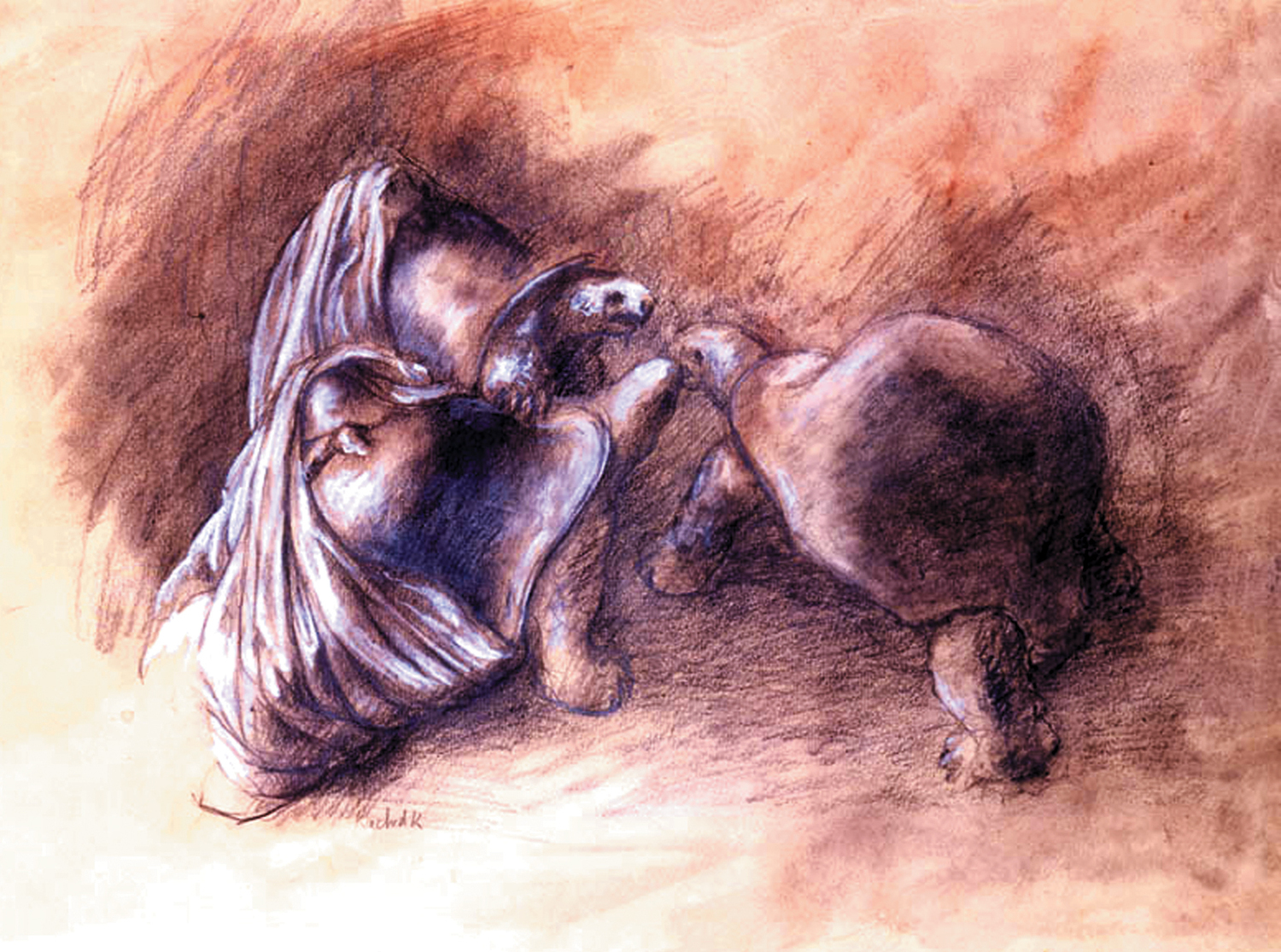 Large estampe scene de tortues.pg