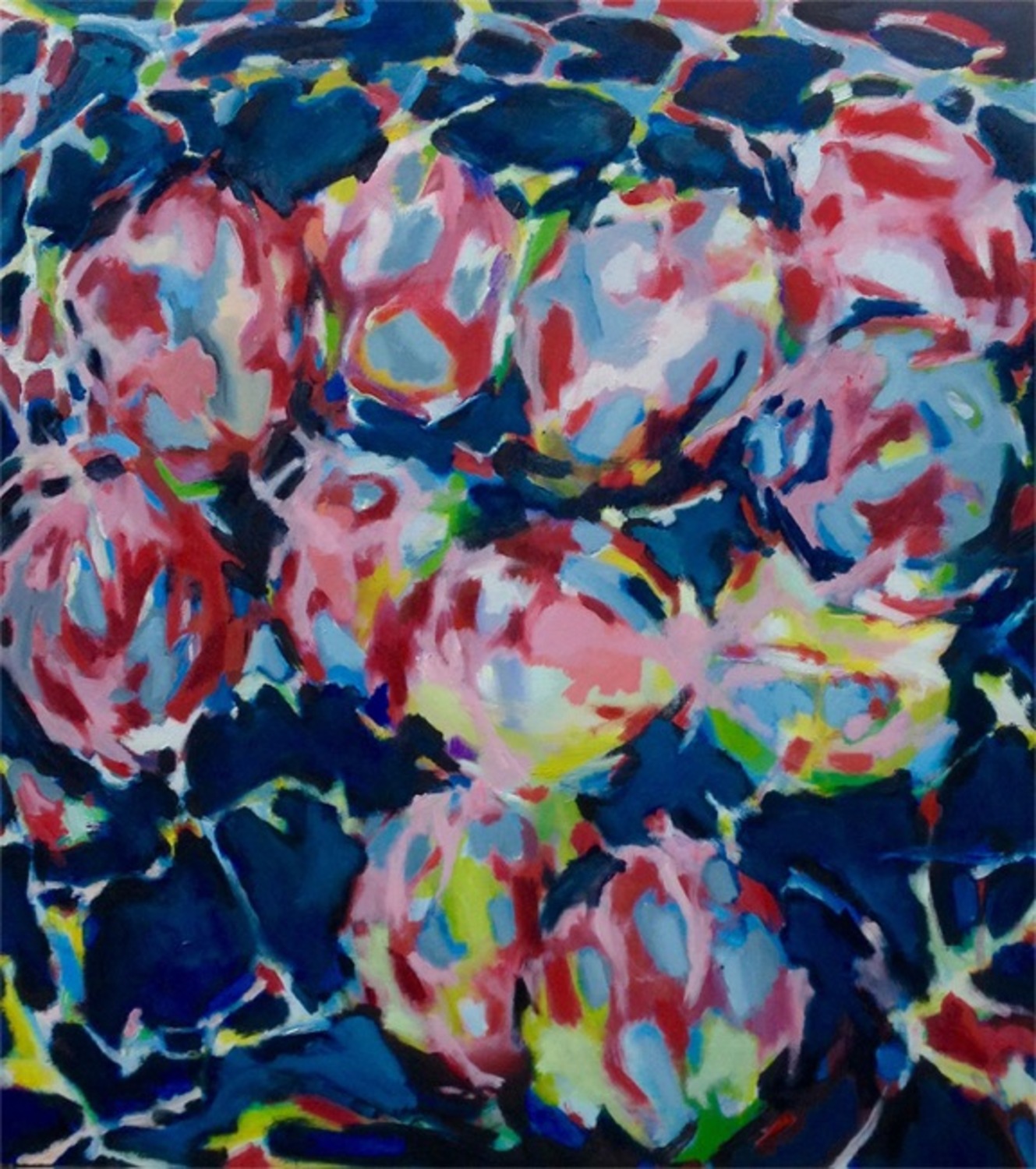 Large fruits of paradise 8