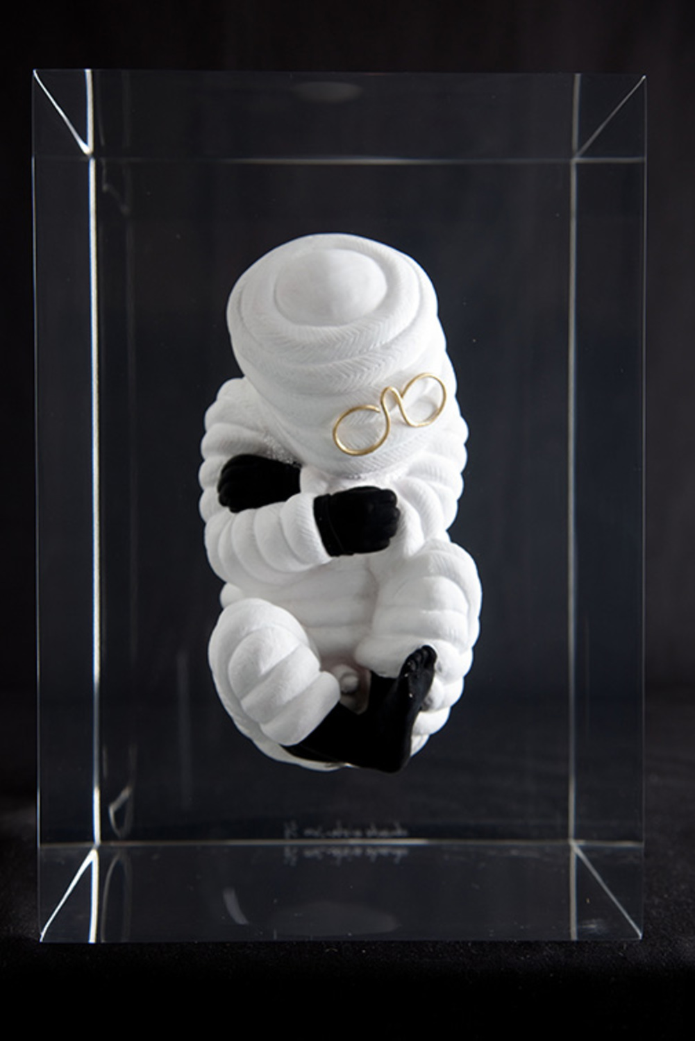 Large bibfoetus 3 copy