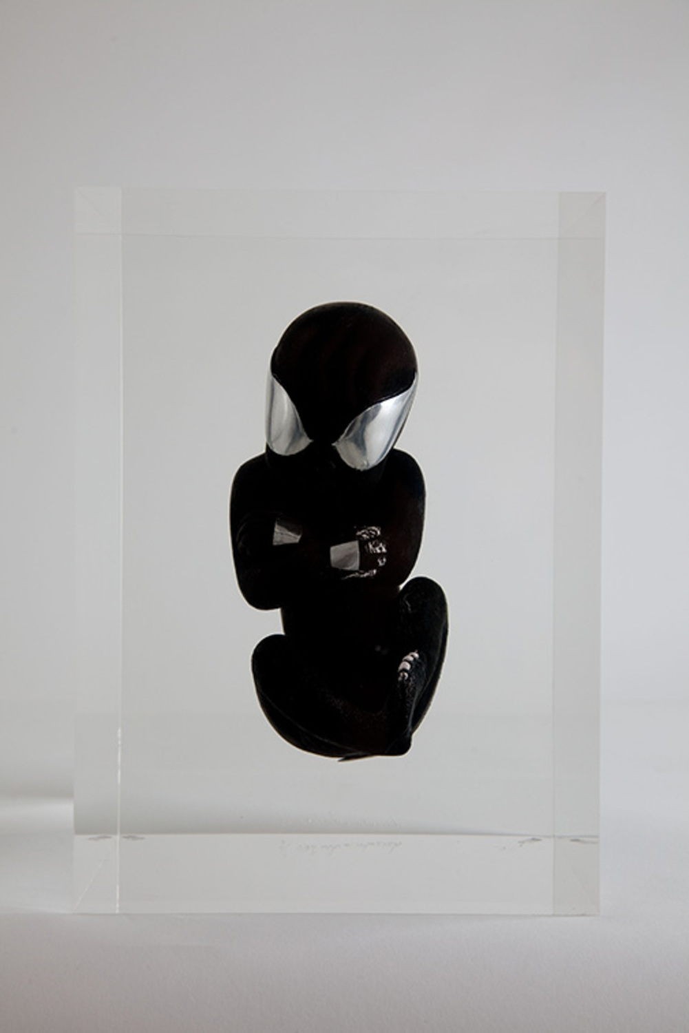Large spiderblack 4 copy