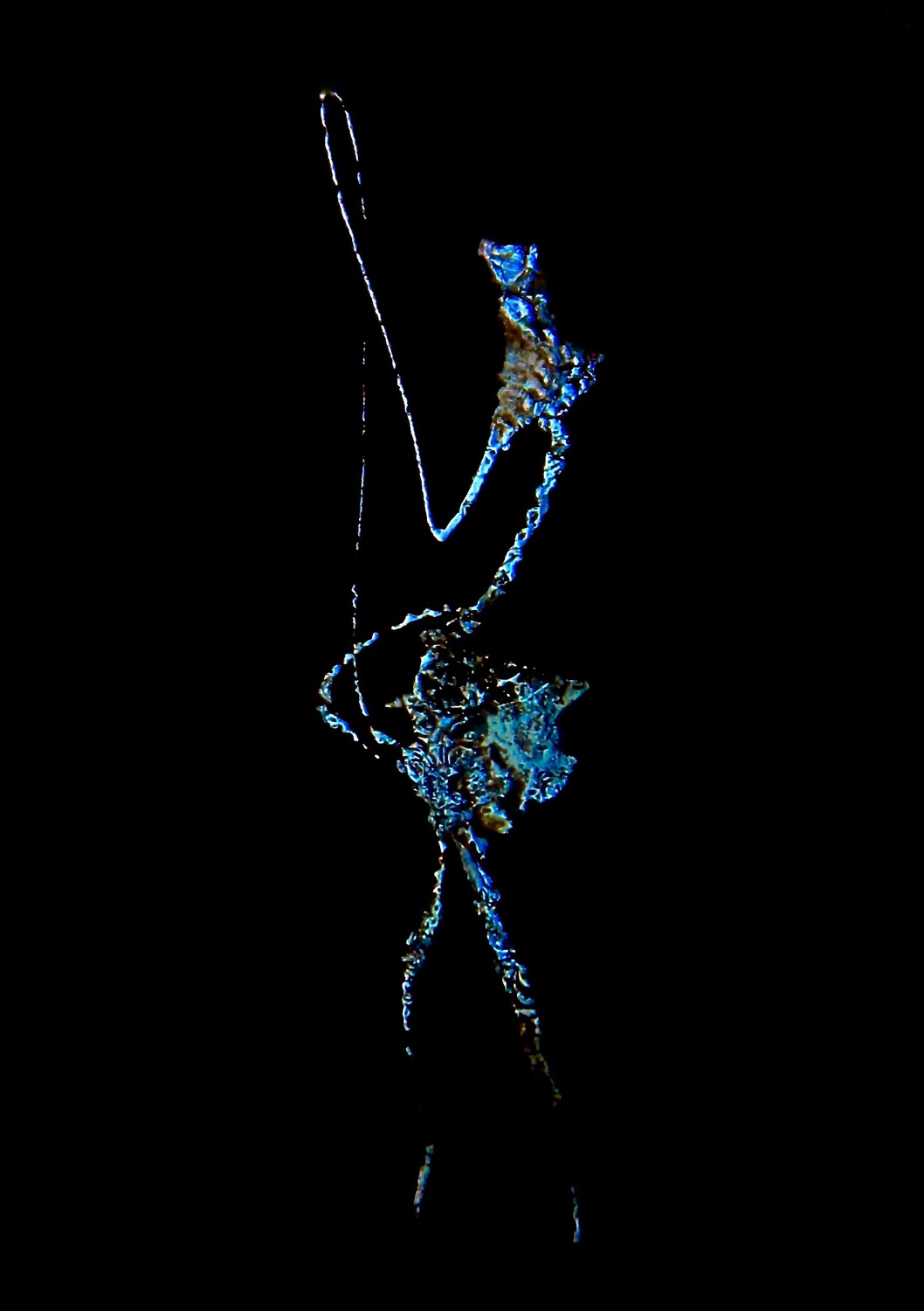 Large lady cabaret 4500 60x85