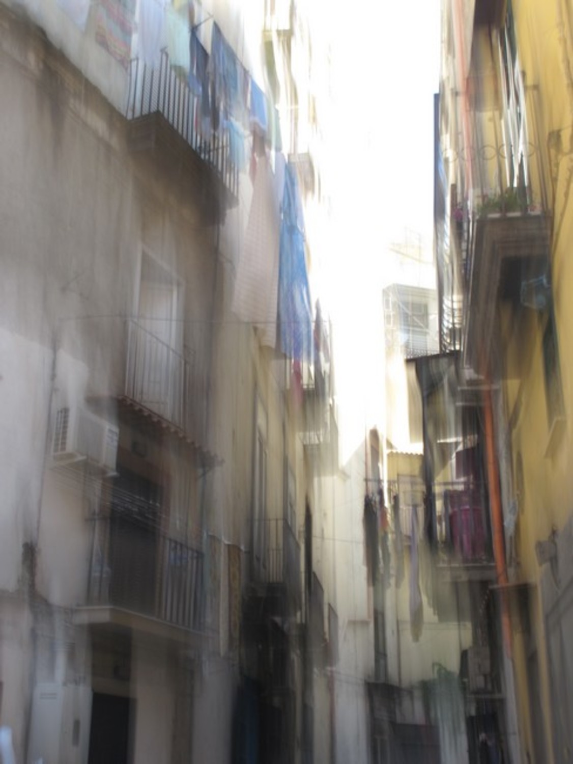 Large naples imprint 24