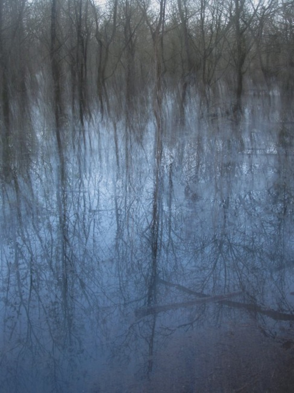 Large fluid 2