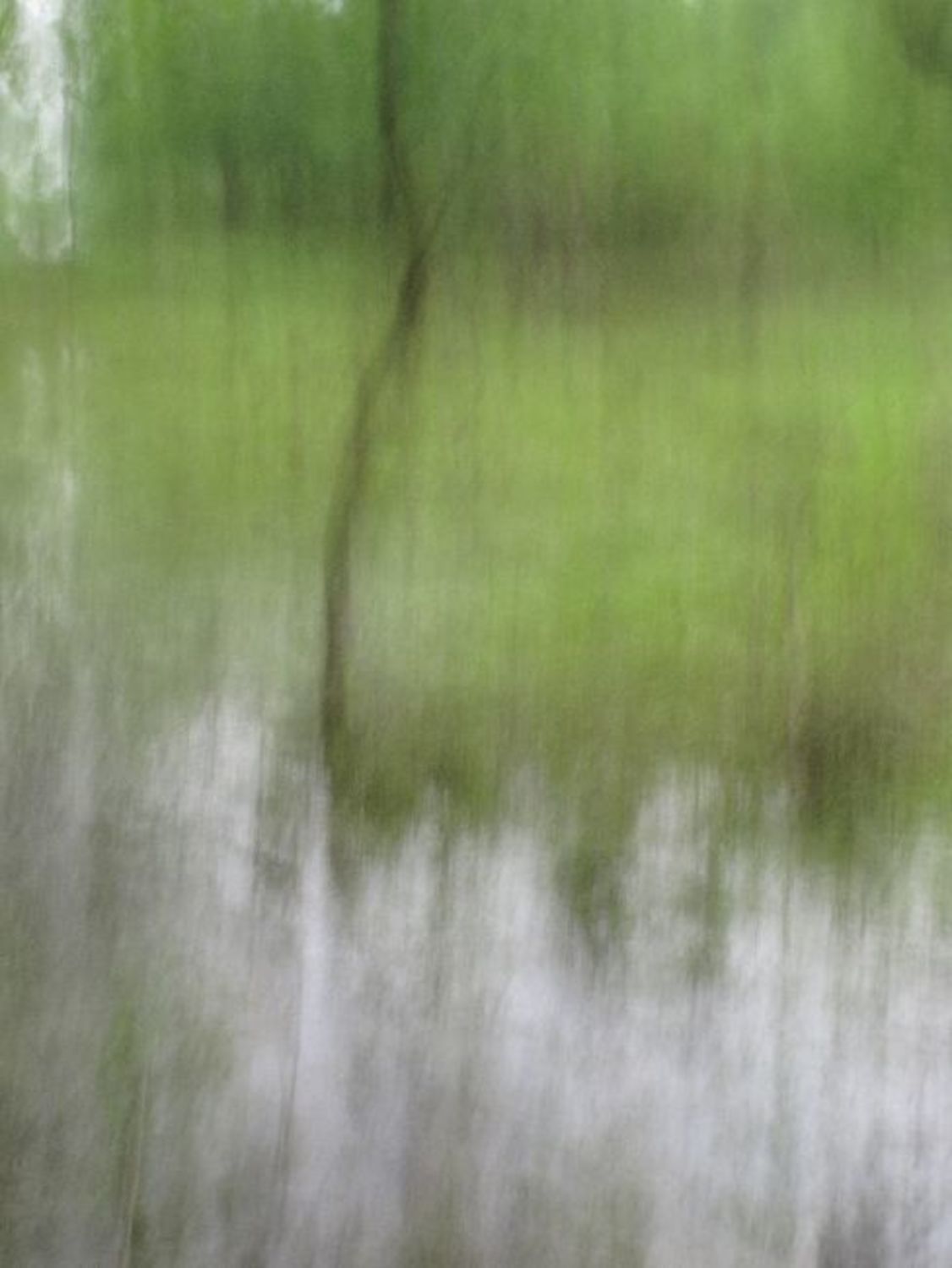 Large sleeping water 4