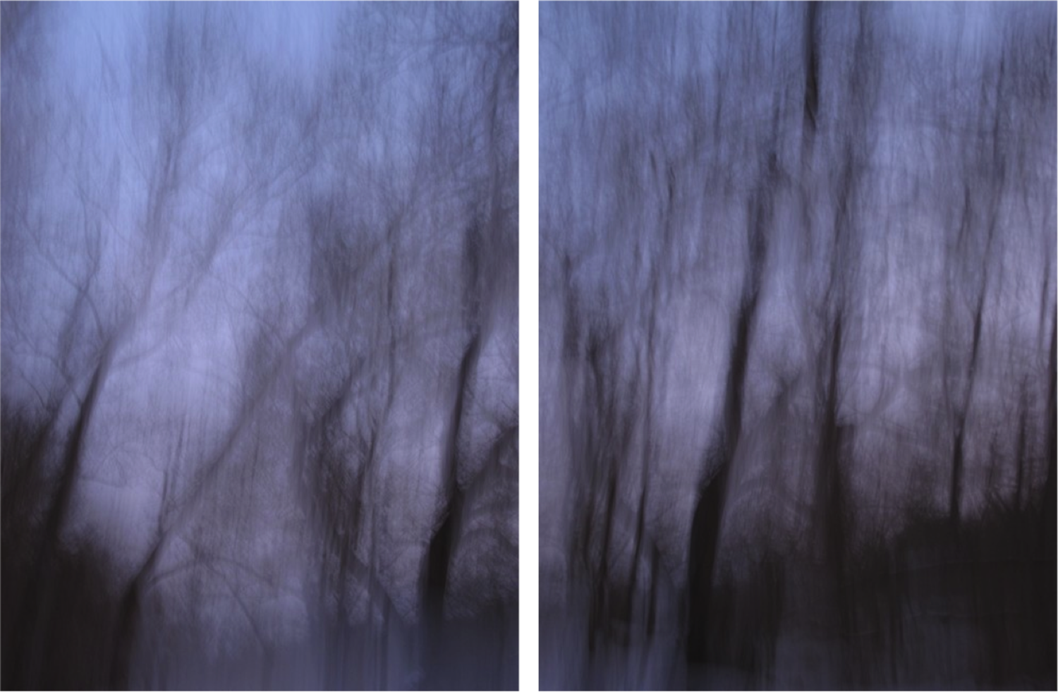Large diptych elemental