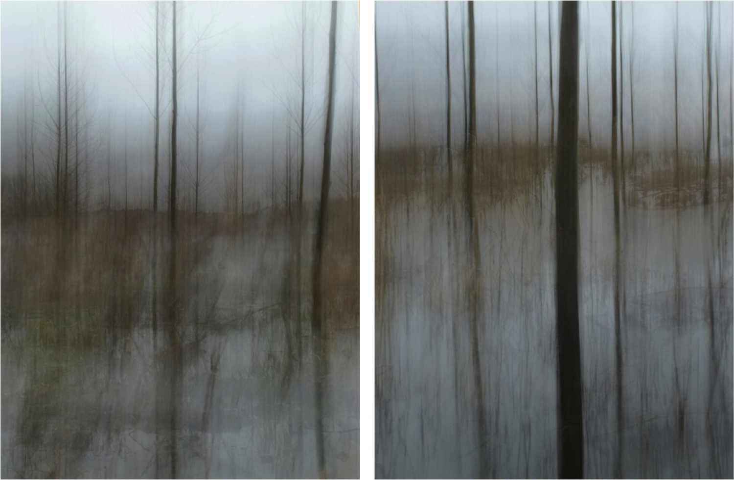 Large diptych winter