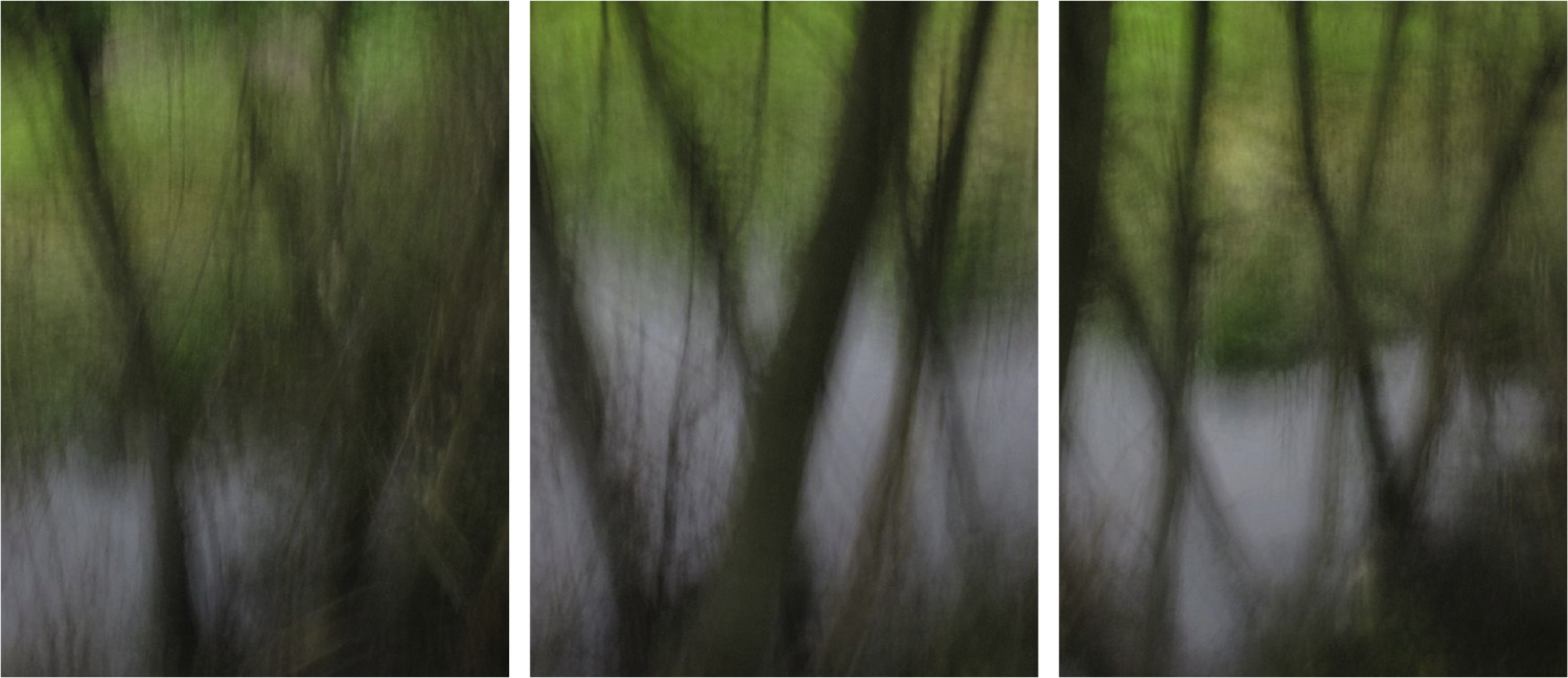 Large triptych spring